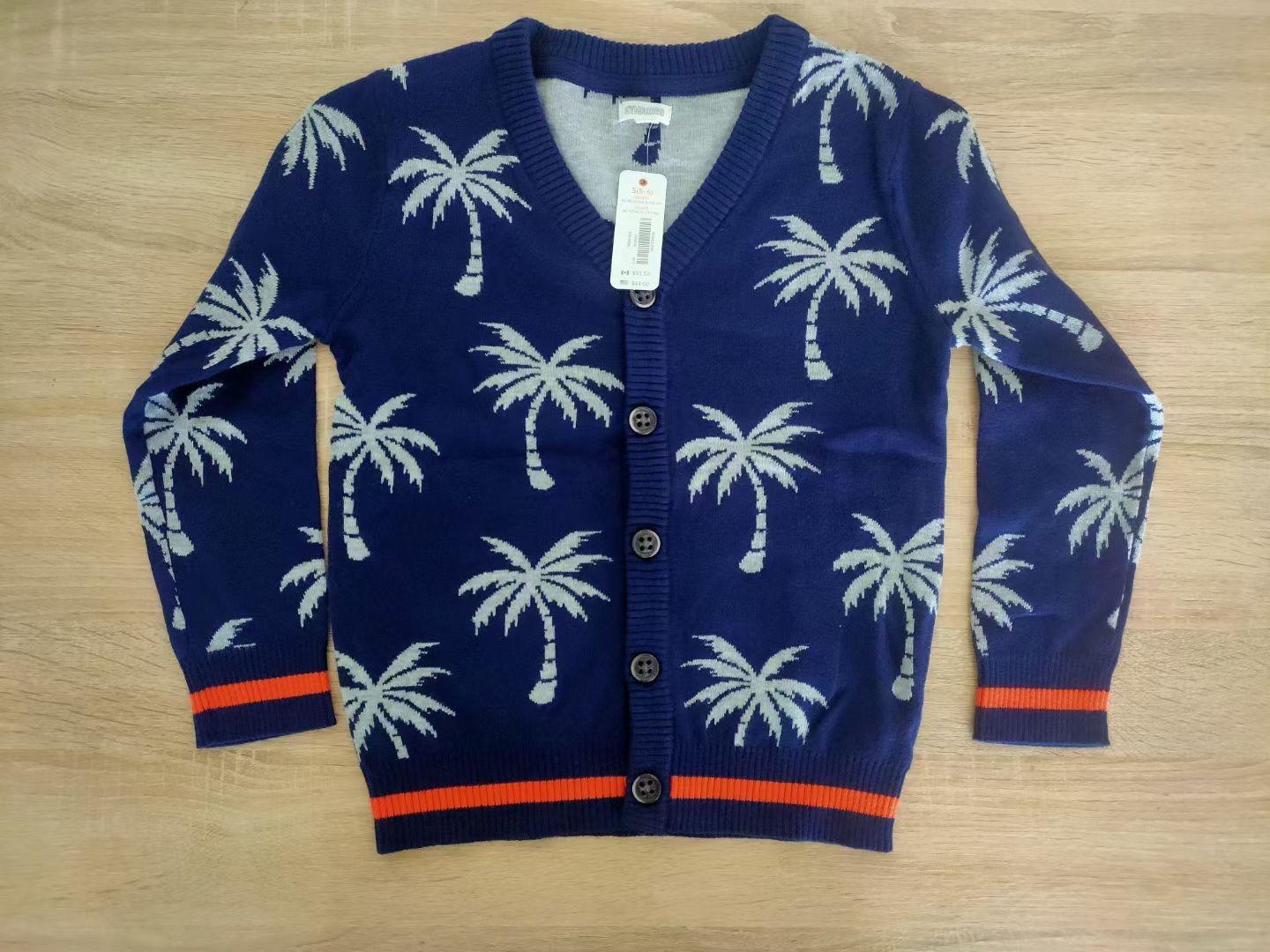 101411 Boys sweater