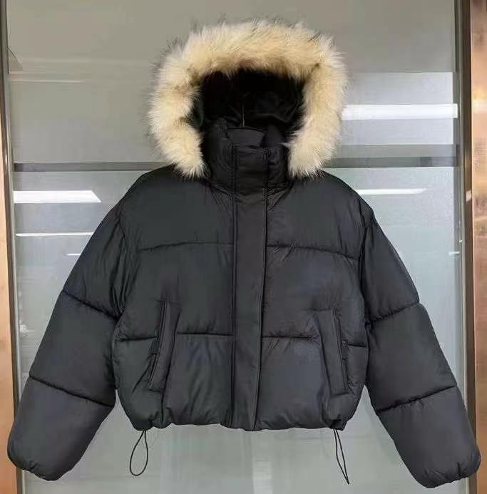 091929 Ladys padding jacket